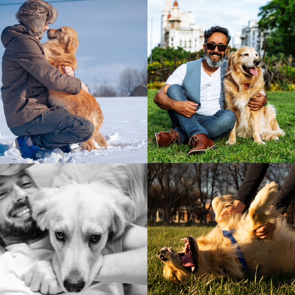 The Unbreakable Bond: Golden Retriever Dog Fathers and Their Unwavering Love