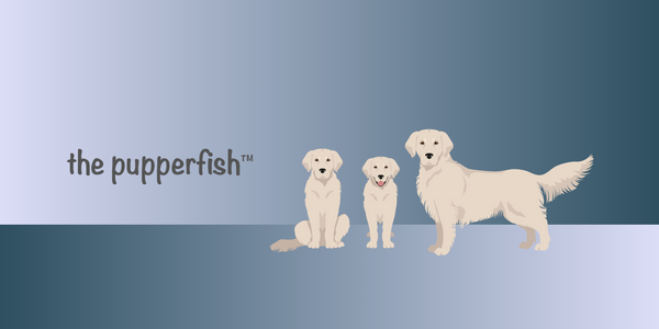 The Pupperfish 3 illustrated golden retrievers