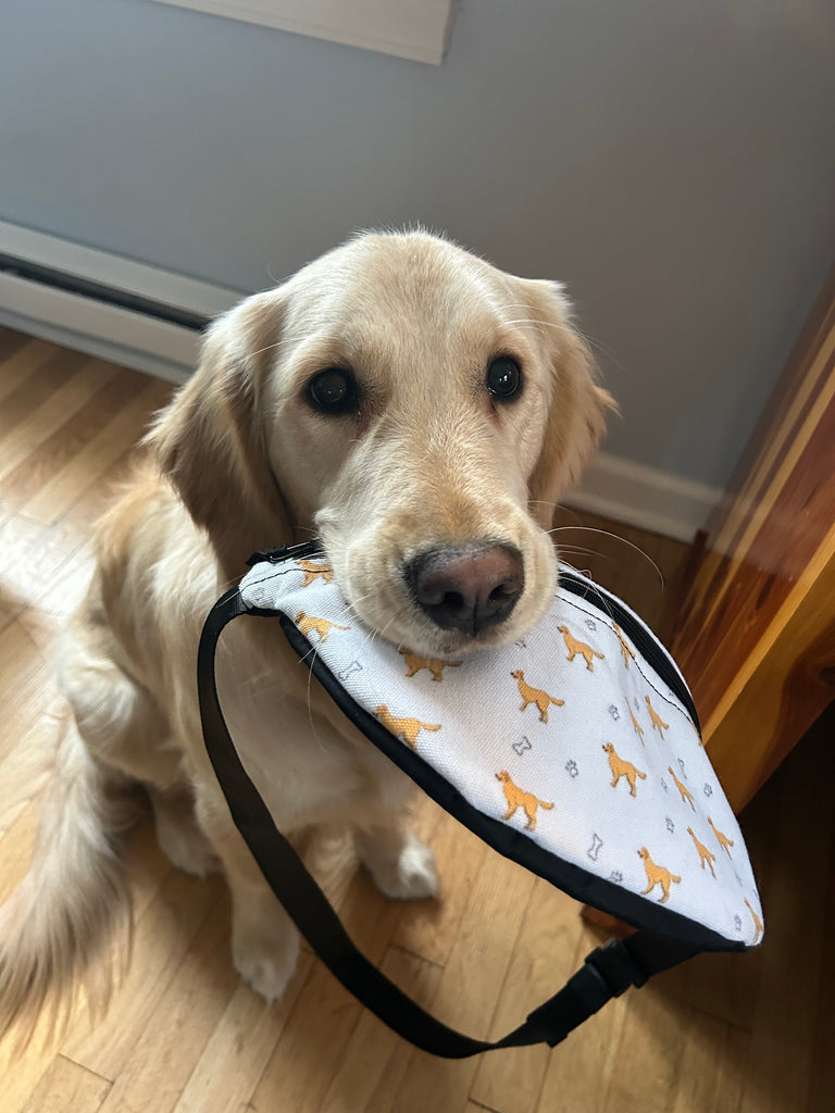 The Pupperfish™golden retriever fanny pack is golden retriever approved!